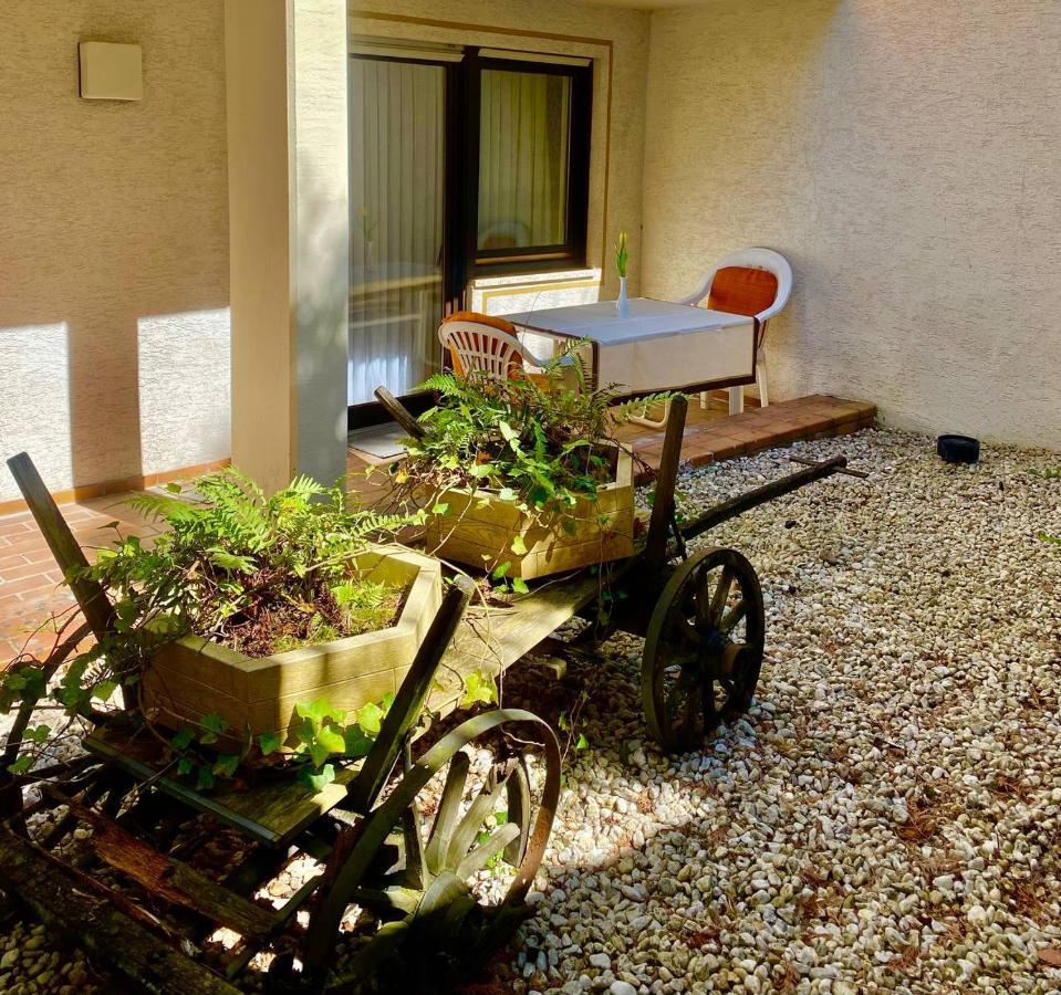 Hotel Krone Riesling トリッテンハイム エクステリア 写真