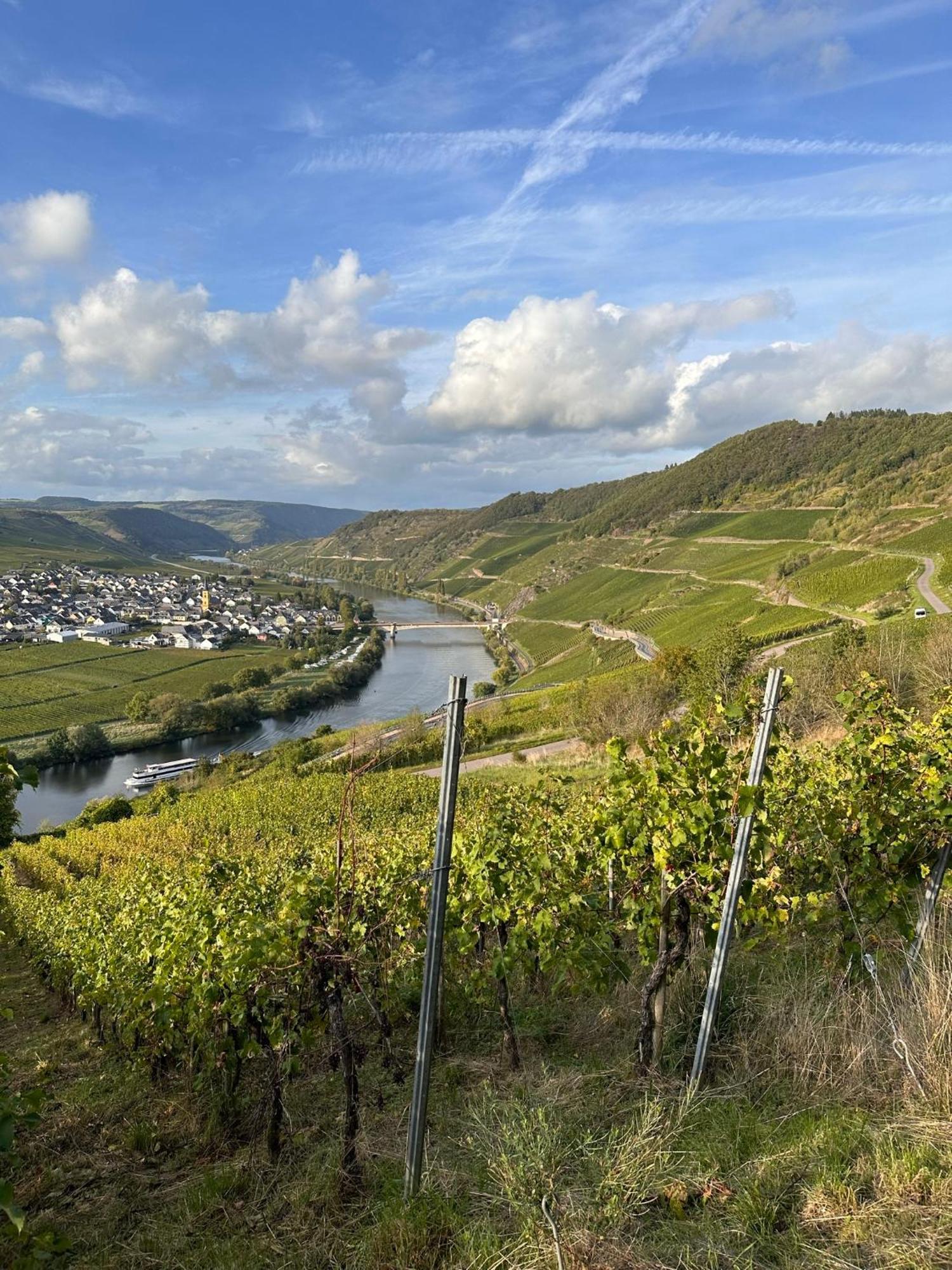 Hotel Krone Riesling トリッテンハイム エクステリア 写真